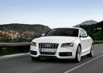 Audi S5 Sportback 2010 года (WW)